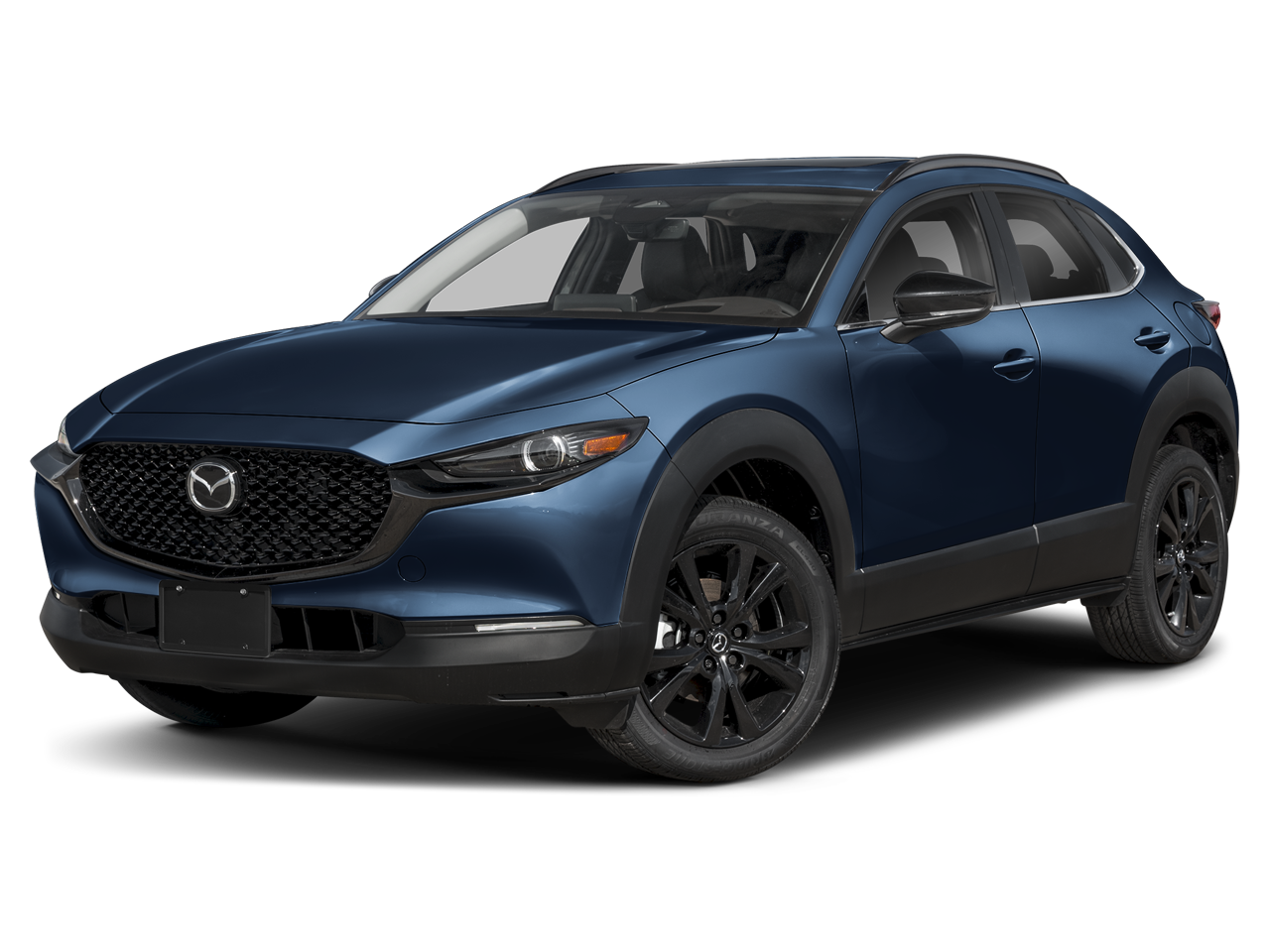 2025 Mazda CX-30 Turbo Premium - Photo 29