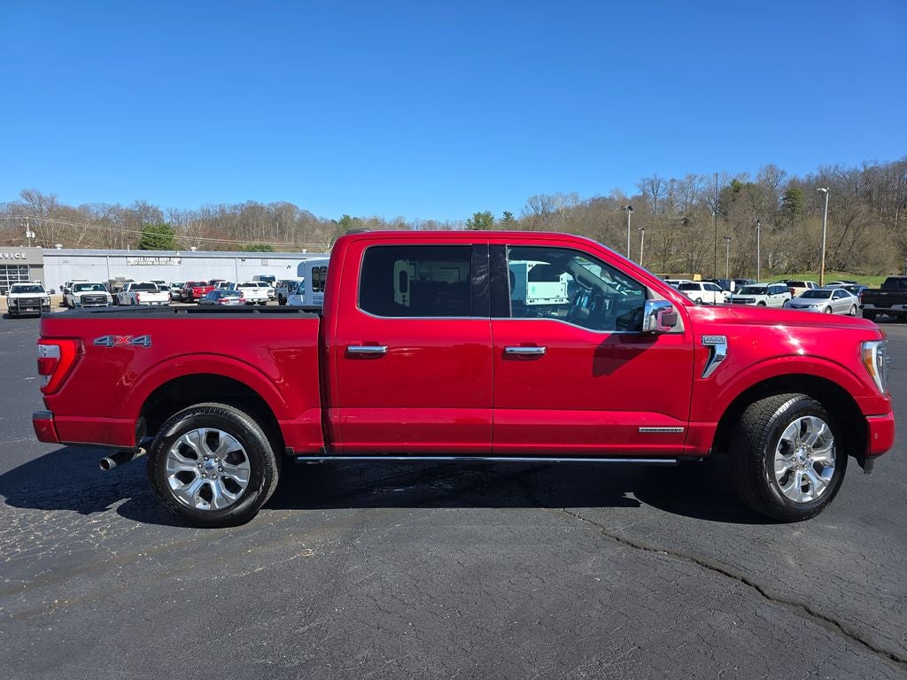 2021 Ford F-150 Platinum