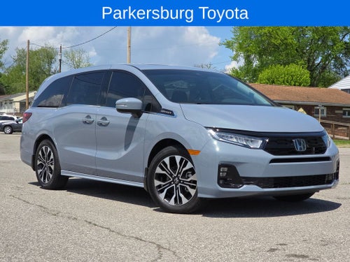 2025 Honda Odyssey Elite