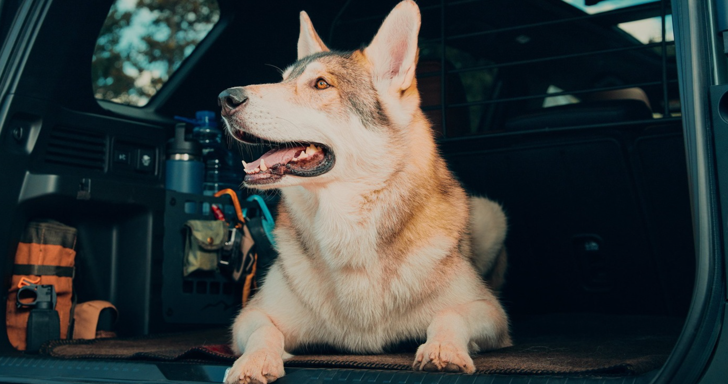 Trunk of new 2026 Honda Passport for sale near Newport, OH